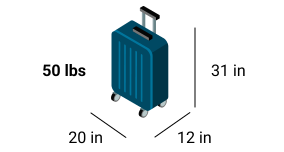 Greyhound Baggage Policies